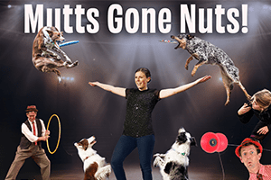 Mutts Gone Nuts – Unleashed!