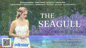 The Seagull