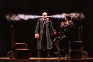 Review: A Condensed Harry Potter and the Cursed Child on Tour Across America