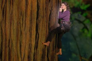 Review: Idina Menzel Climbs a Tree on Broadway in New Musical Redwood