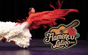 Flamenco Latino