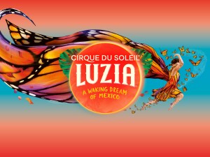 Cirque du Soleil presents: LUZIA