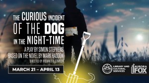 The Curious Incident of the Dog in the Night-Time