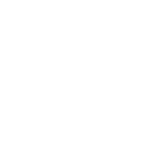 tiktok logo